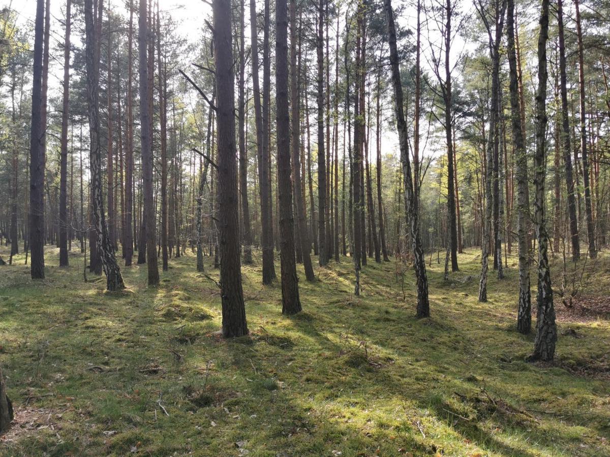 M&K Apartamenty - Morska Bryza, Sobieszewo- Wyspa Sobieszewwska غدانسك المظهر الخارجي الصورة
